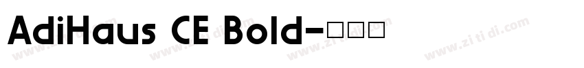 AdiHaus CE Bold字体转换